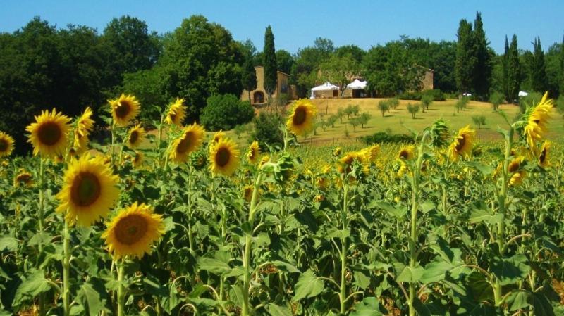 Agriturismo Natura E Salute San Gimignano Luaran gambar